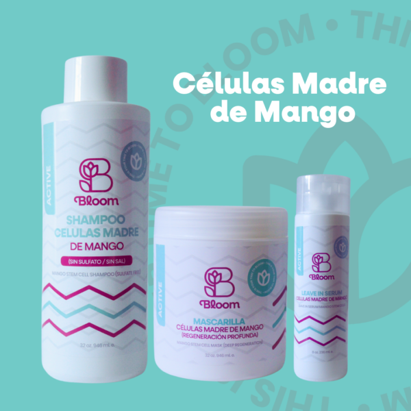 Células Madres